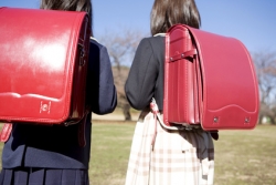 CE et bons d'achats de rentrée scolaire : extension aux enfants scolarisés jusqu'à 26 ans